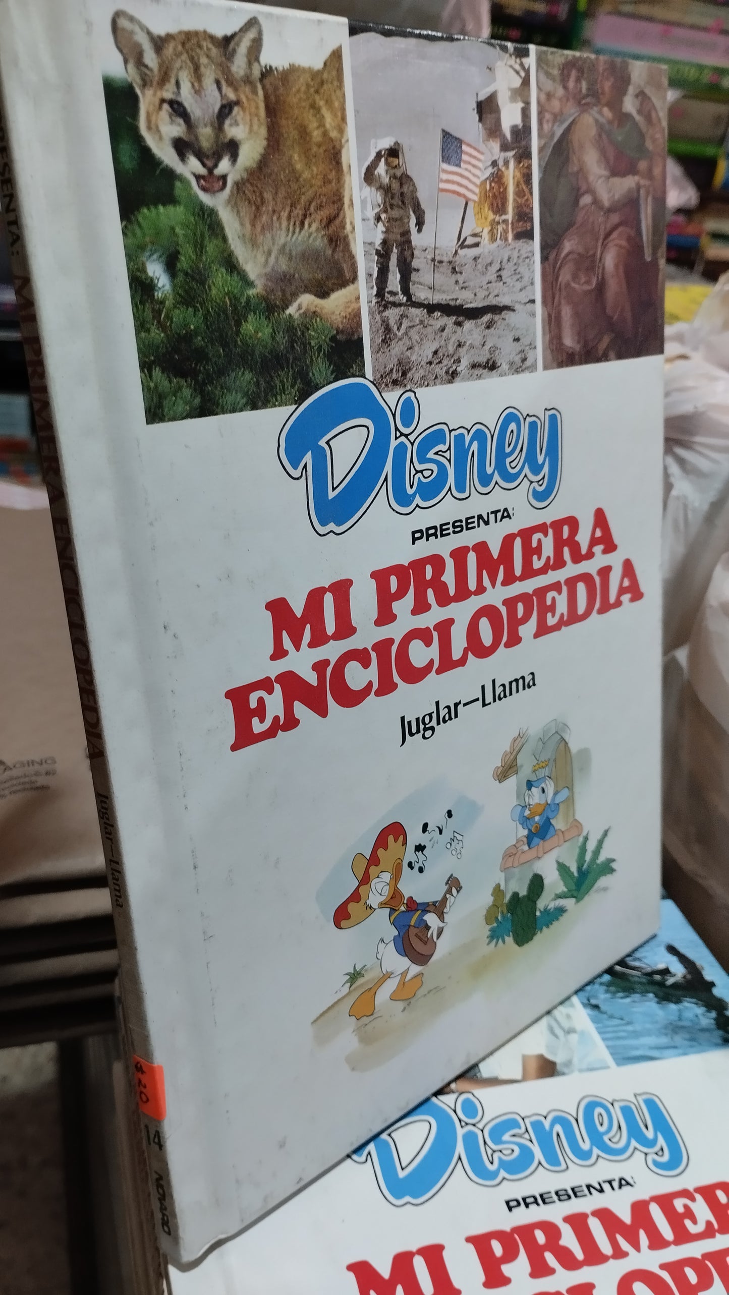 CALIDAD AMBIENTAL EN LA INDUSTRIA POR DELIA CORREA GONZALEZ USADO MATE LITERARIO 305