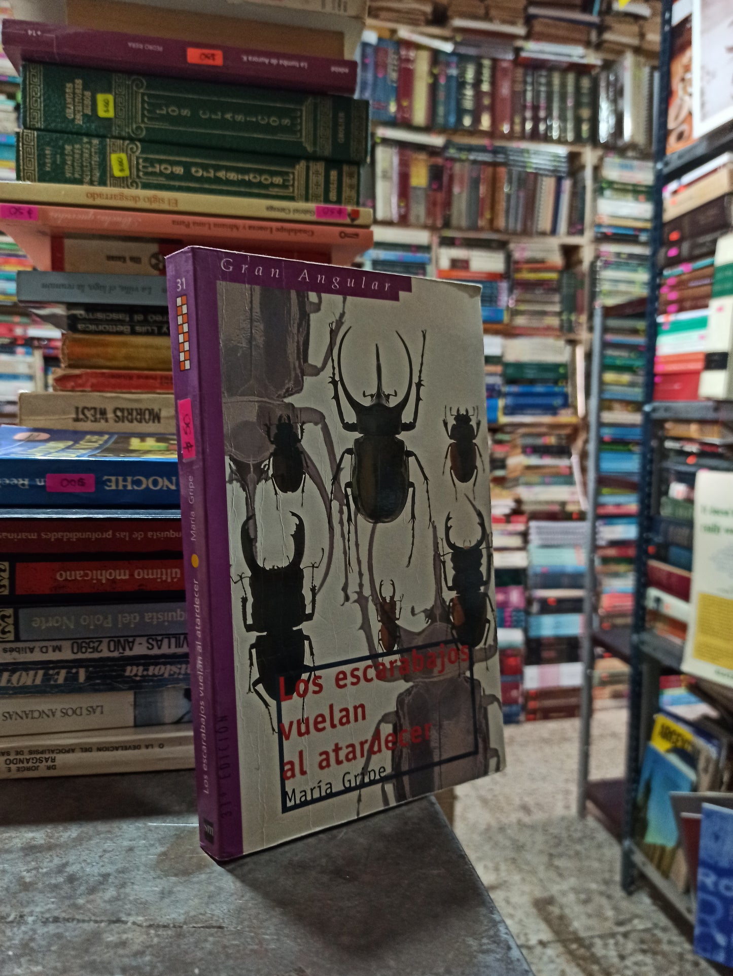 LOS ESCARABAJOS VUELAN AL ATARDECER POR MARIA GRIPE USADO NOVELAS ALDAMA