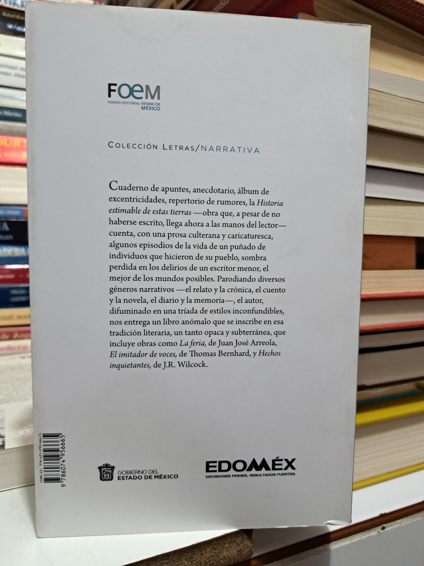 HISTORIA ESTIMABLE DE ESTAS TIERRAS LOBSANG  CASTAÑEDA USADO NOVELA JUÁREZ