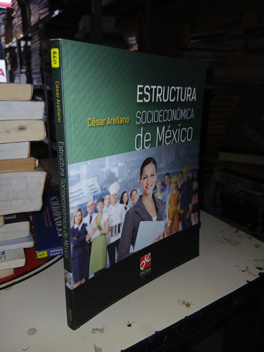 ESTRUCTURA SOCIOECONÓMICA DE MÉXICO POR CÉSAR ARELLANO USADO ADMINISTRACIÓN LITERARIO 207