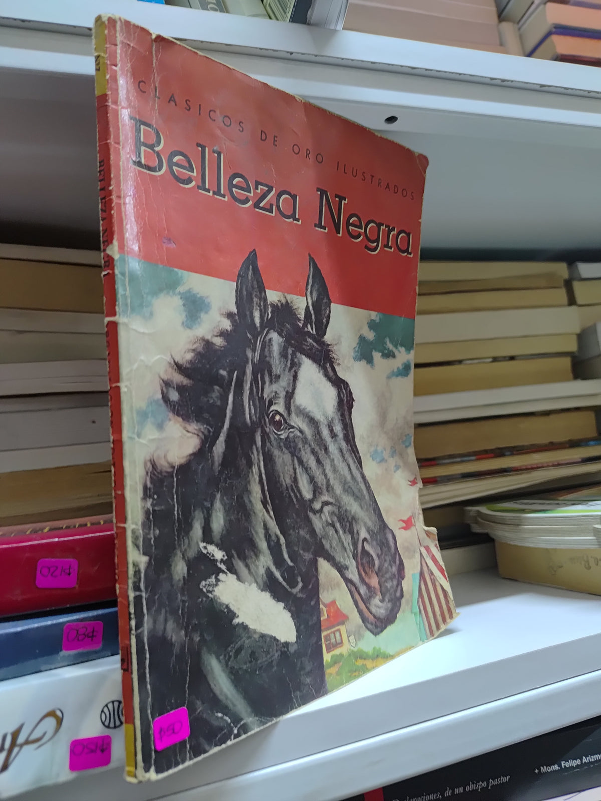 BELLEZA NEGRA POR EDITORIAL NOVARO USADO NOVELAS JUAREZ 515