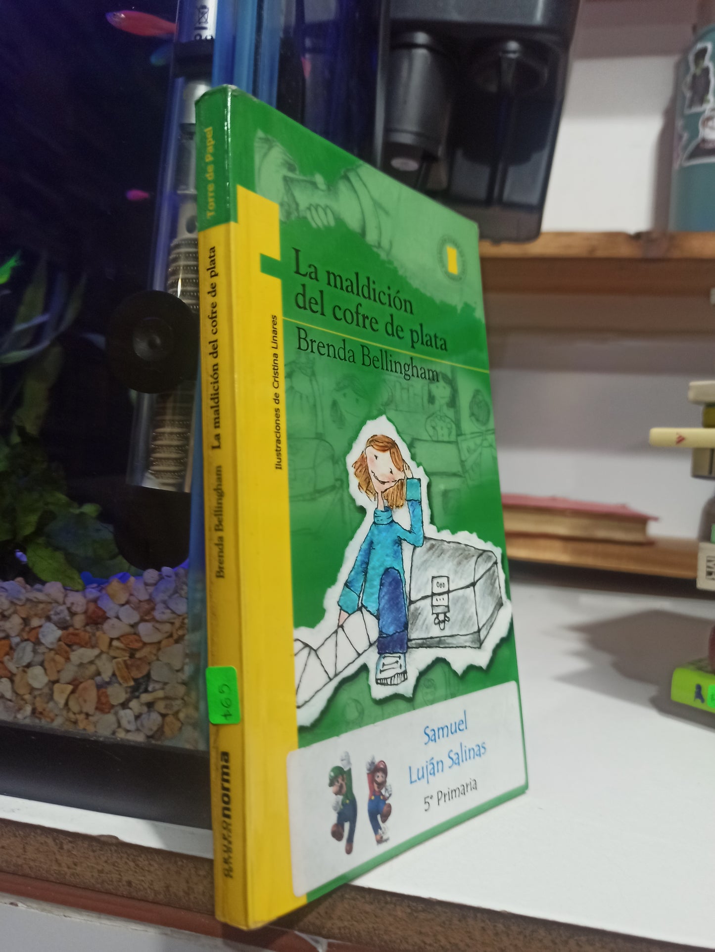 LA MALDICION DEL COFRE DE PLATA POR BRENDA BELLINGHAM USADO INFANTIL JUÁREZ