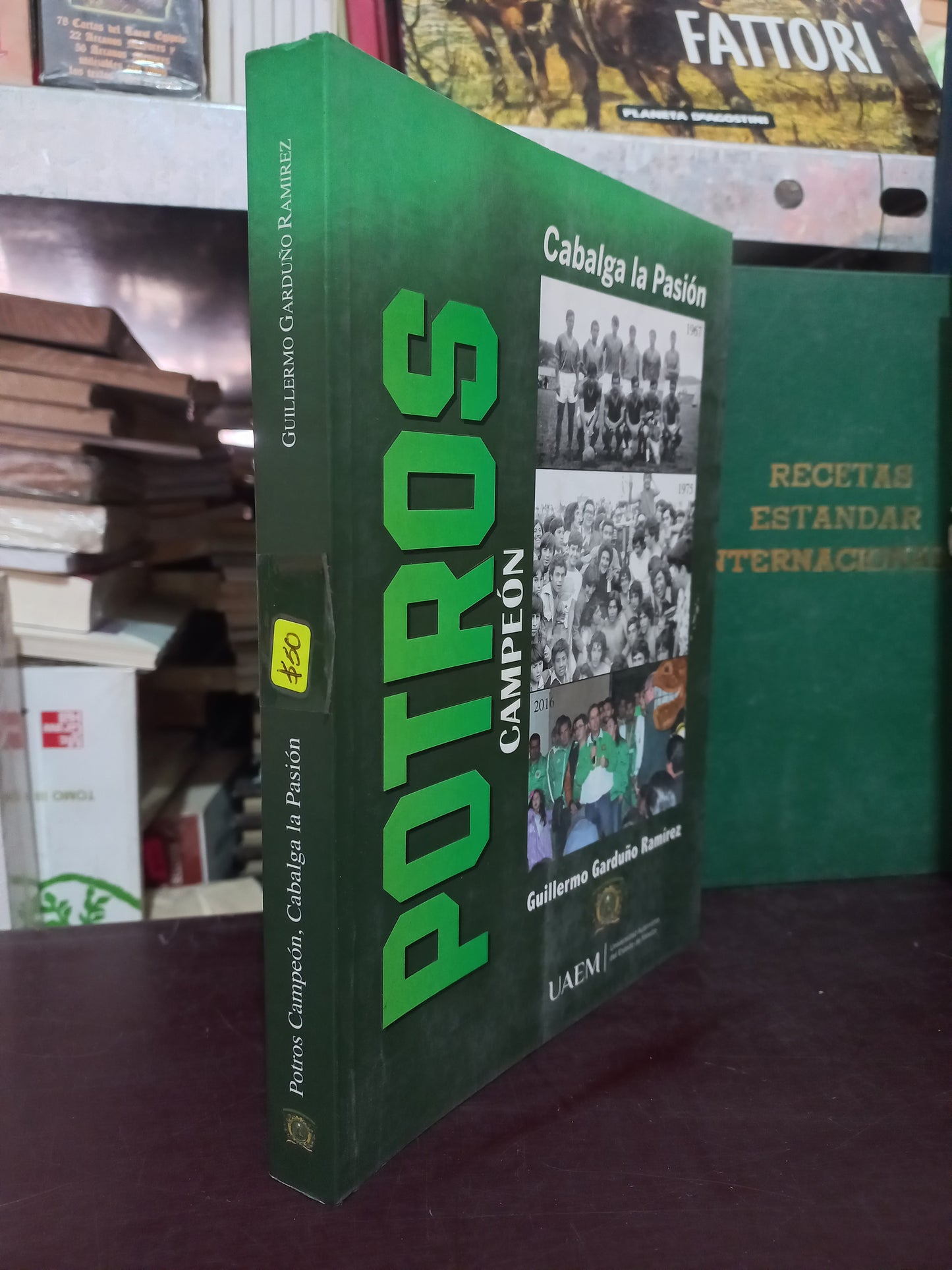 POTROS CAMPEÓN, CABALGA LA PASIÓN POR GUILLERMO GARDUÑO RAMÍREZ USADO HISTORIA LITERARIO 305