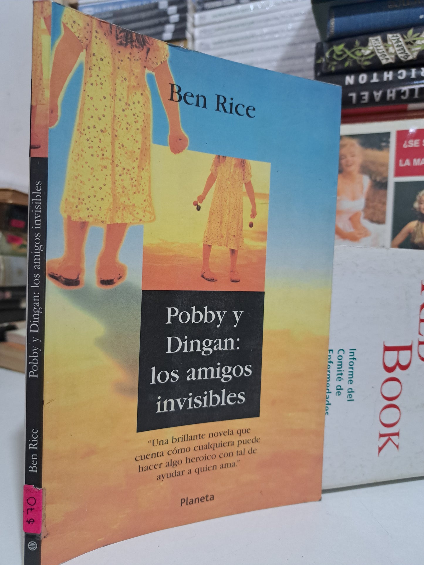 POBBY Y DINGAN: LOS AMIGOS INVISIBLES BEN RICE USADO NOVELA JUÁREZ