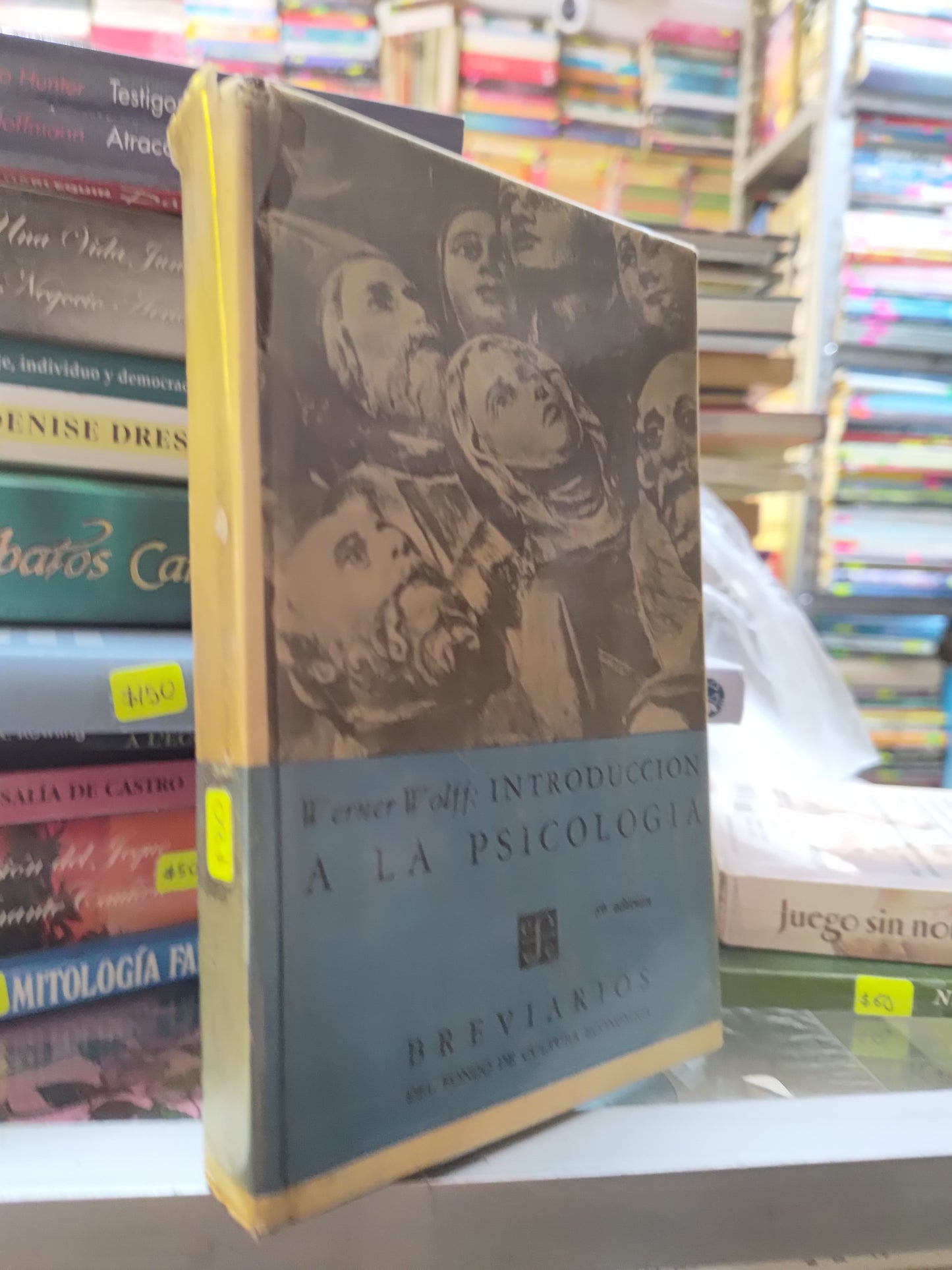 INTRODUCCION A LA PSICOLOGIA POR WERNER WOLFF USADO HISTORIA JUAREZ 507