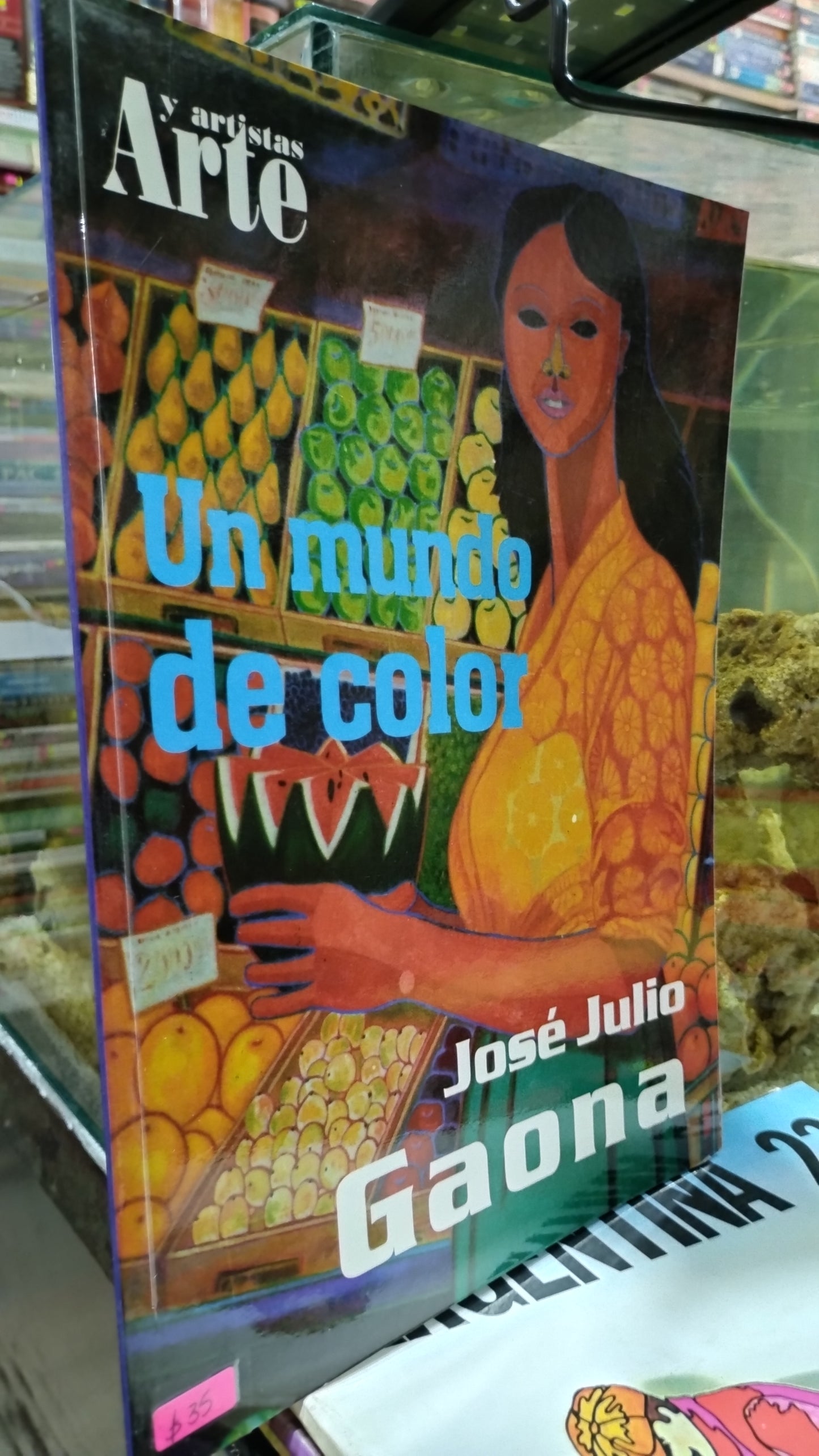 UN MUNDO DE COLOR POR JOSE JULIO GAONA LIBRO USADO ARTE ALDAMA