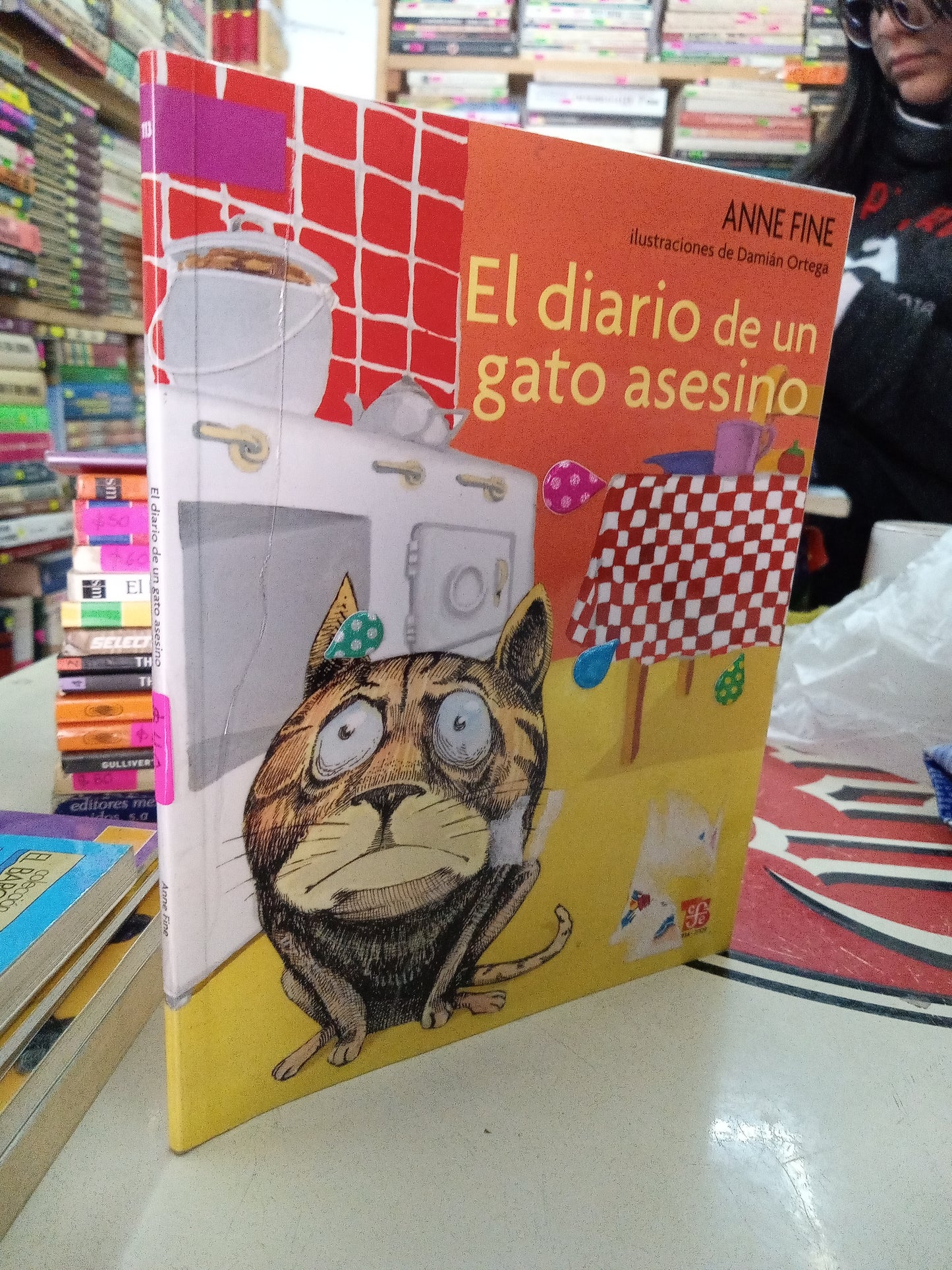 EL DIARIO DE UN GATO ASESINO POR ANNE FINE USADO INFANTIL LITERARIO 207