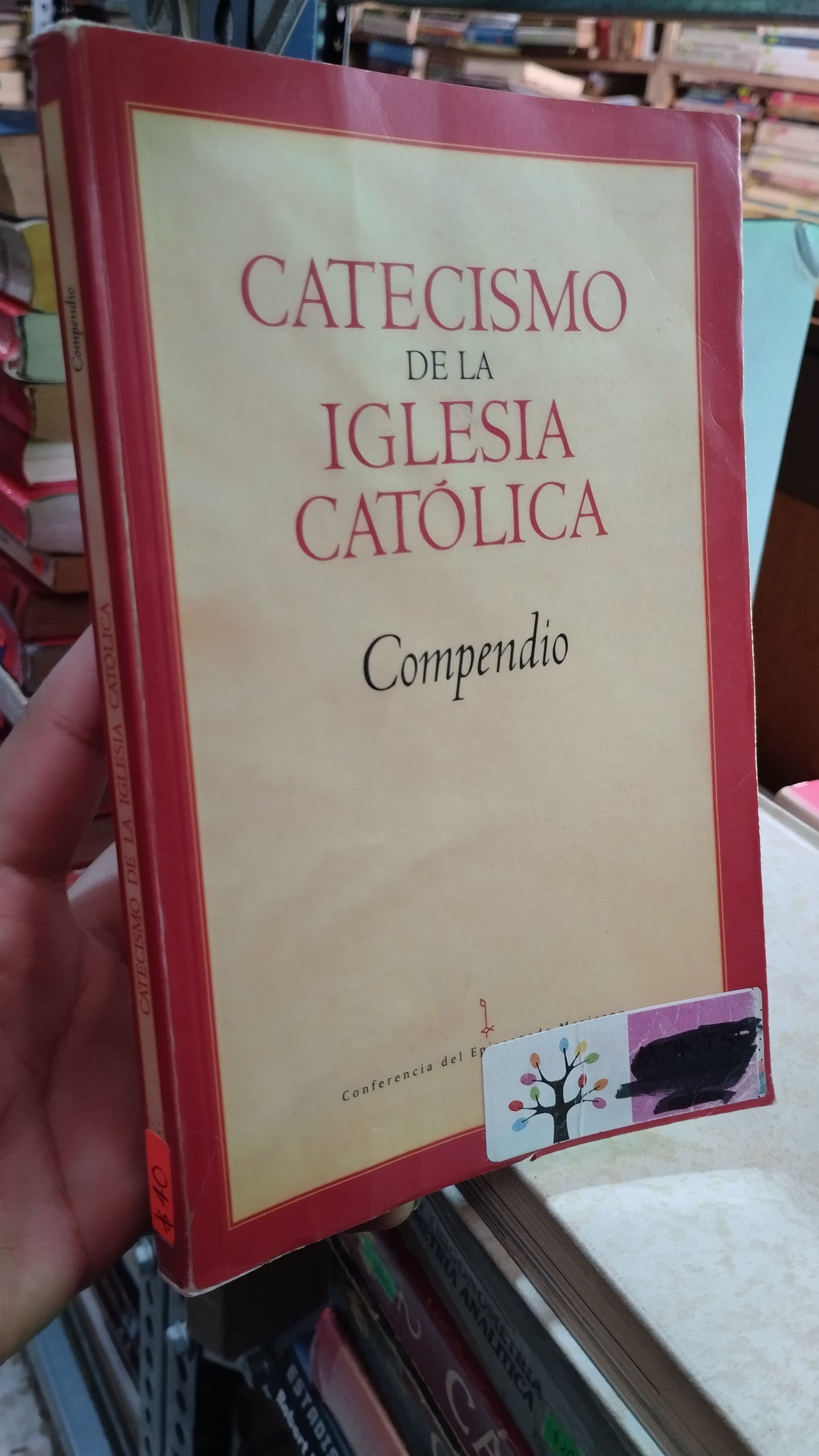 CATECISMO DE LA IGLESIA CATOLICA POR LA CONFERENCIA DEL EPISCOPADO MEXICANO LIBRO USADO RELIGION ALDAMA