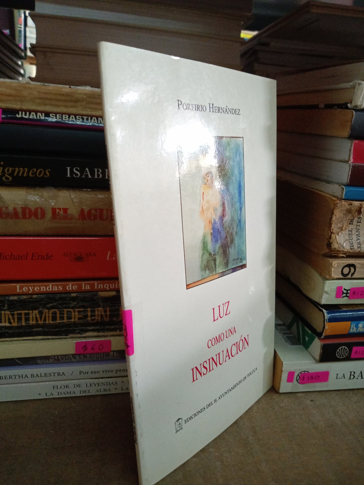 LUZ COMO UNA INSINUACION POR PORFIRIO HERNANDEZ  USADO NOVELA LITERARIO 207