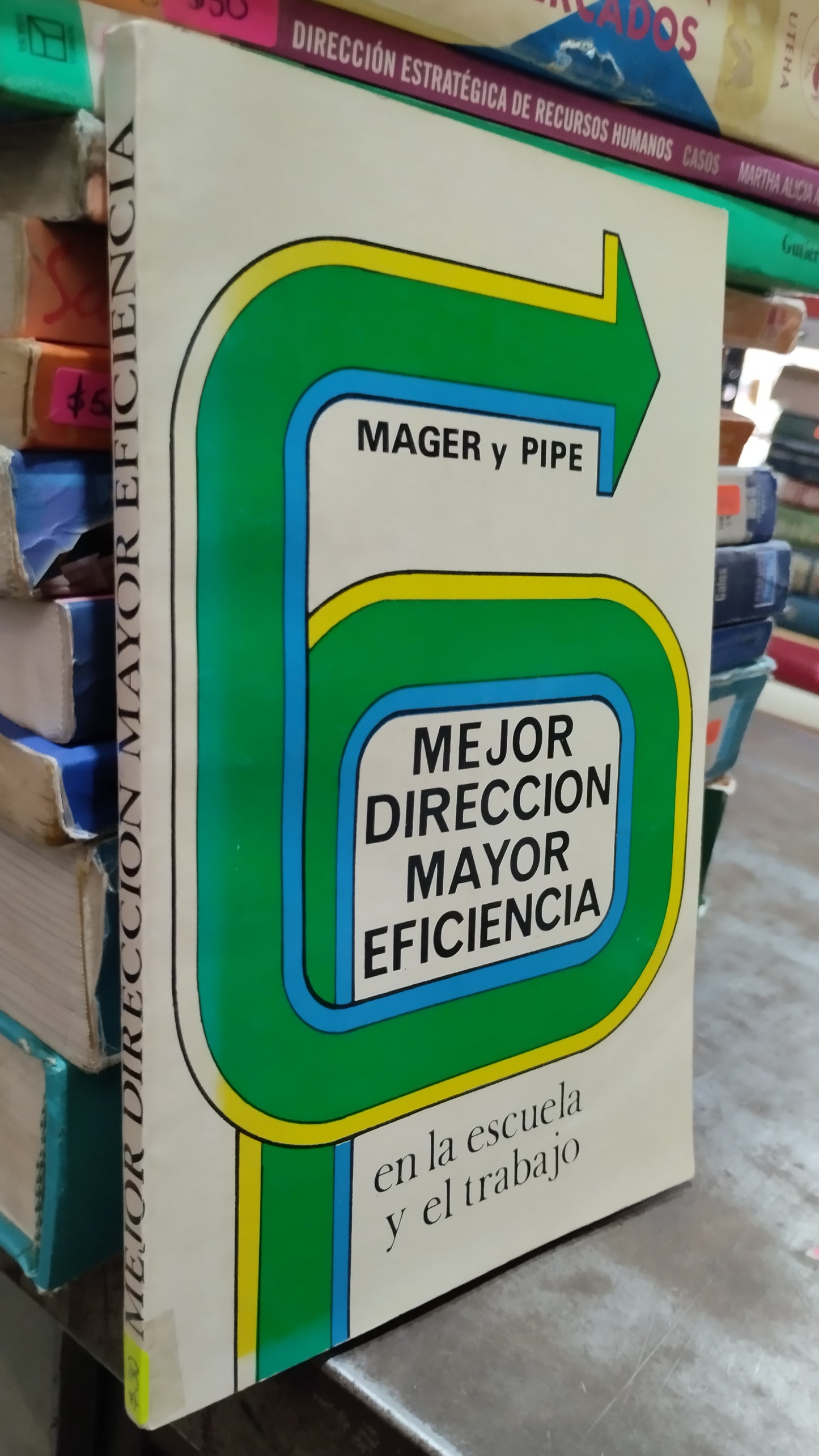 MEJOR DIRECCION MAYOR EFICIENCIA POR MAGER Y PIPE LIBRO USADO ADMINISTRACION ALDAMA