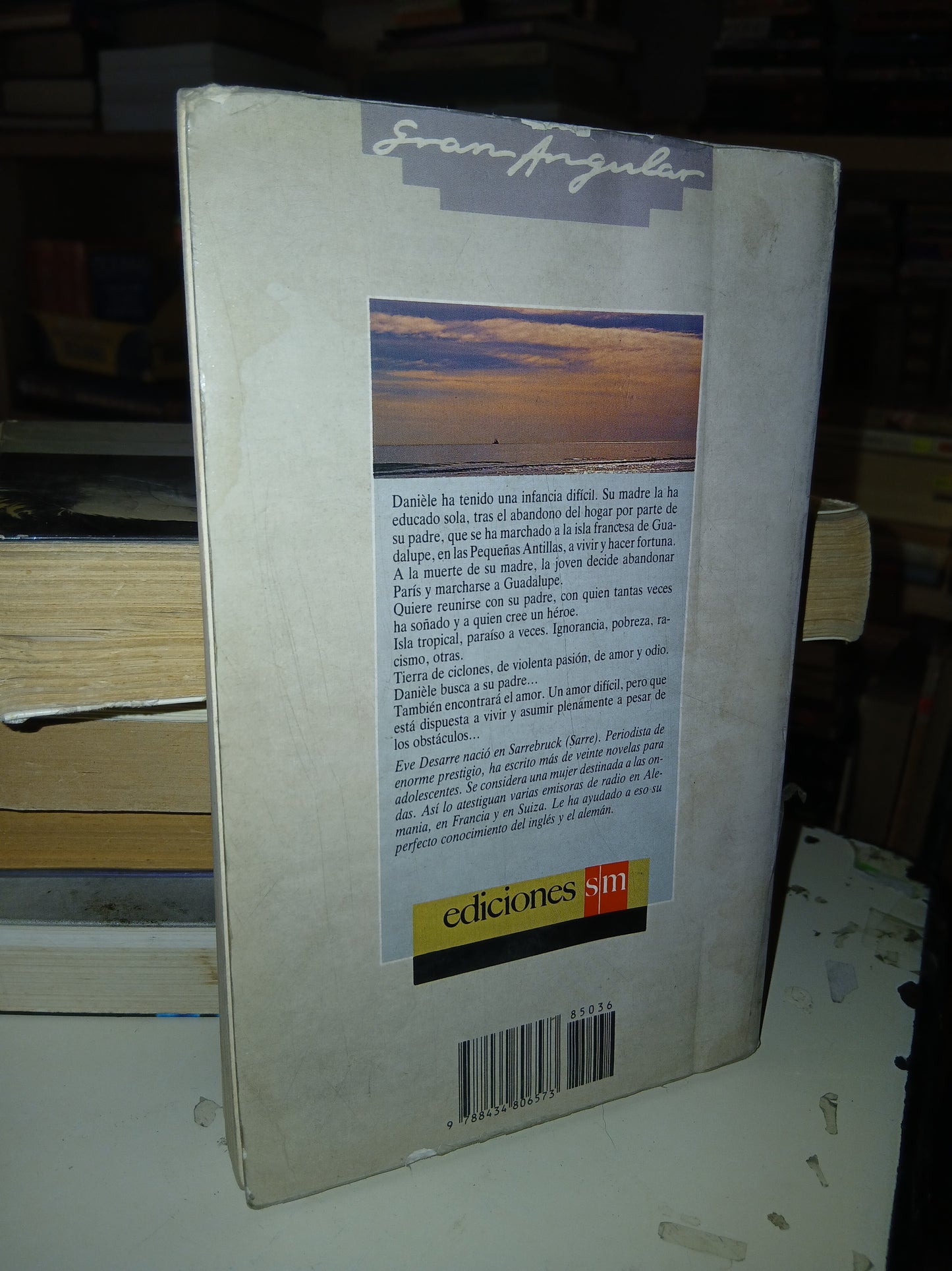 DANIÈLE EN LA ISLA POR EVE DESARRE USADO NOVELA LITERARIO 207