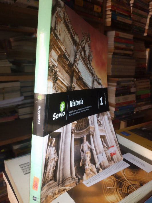 HISTORIA 1 SECUNDARIA POR AUTORES VARIOS USADO HISTORIA LITERARIO 207