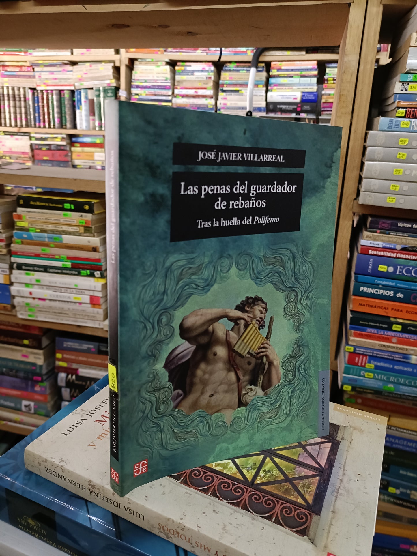 LAS PENAS DEL GUARDADOR DE REBAÑOS POR JOSÉ JAVIER VILLAREAL USADO NOVELA LITERARIO 207