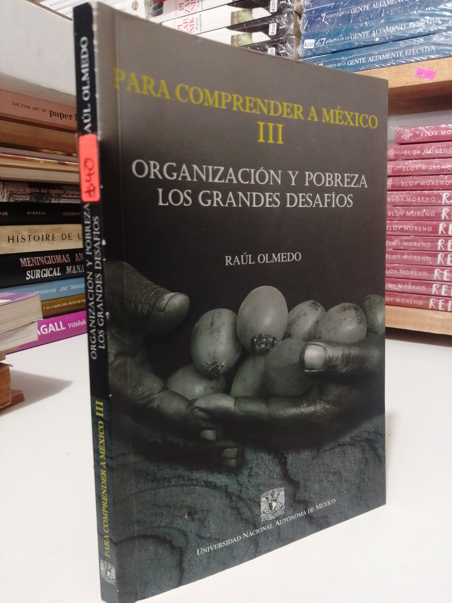 PARA COMPRENDER A MEXICO ORGANIZACION Y POBREZA DE LOS GRANDES DESAFÍOS POR RAUL OLMEDO USADO HISTORIA JUAREZ
