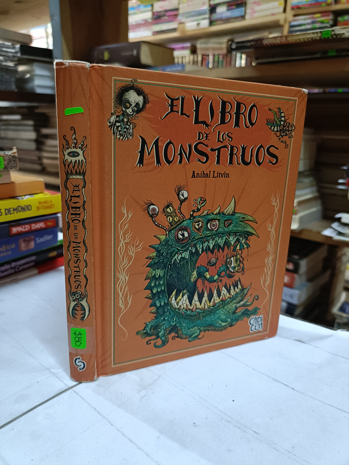 EL LIBRO DE LOS MONSTRUOS POR ANIBAL LITVIN USADO INFANTIL LITERARIO 207