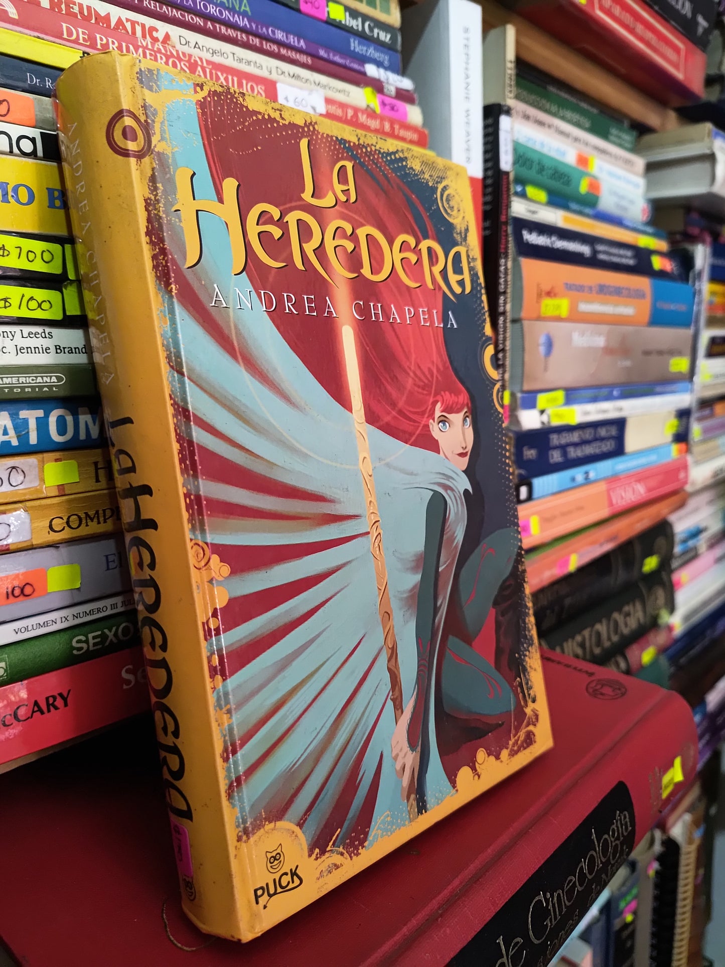 LA HEREDERA POR ANDREA CHAPELA USADO NOVELAS LITERARIO 305