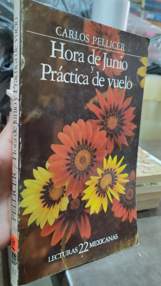 HORA DE JUNIO Y PRACTICA DE VUELO POR CARLOS PELLICER LIBRO USADO ANTIGUO ALDAMA