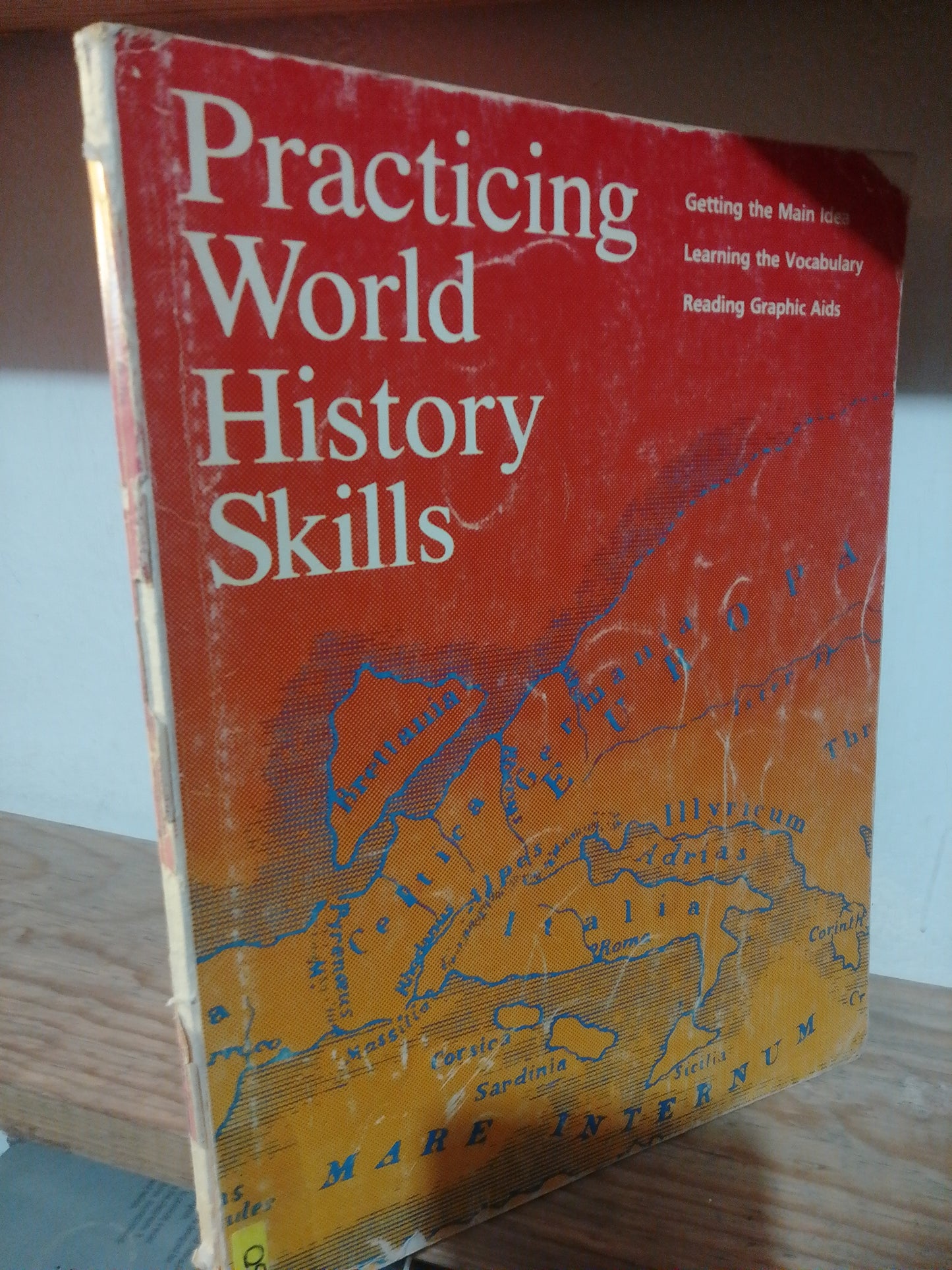 PRACTICING WORLD HISTORY SKILLS USADO IDIOMAS JUAREZ