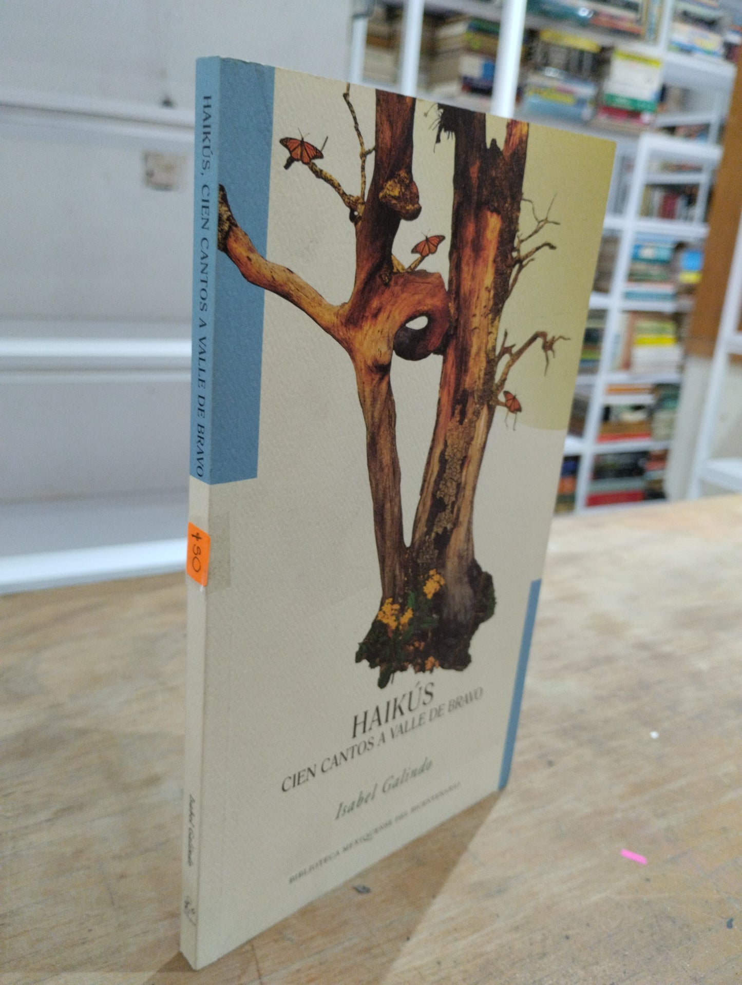 HAIKUS CIEN CANTOS A VALLE DE BRAVO POR ISABEL GALINDO USADO POESIA JUAREZ 515