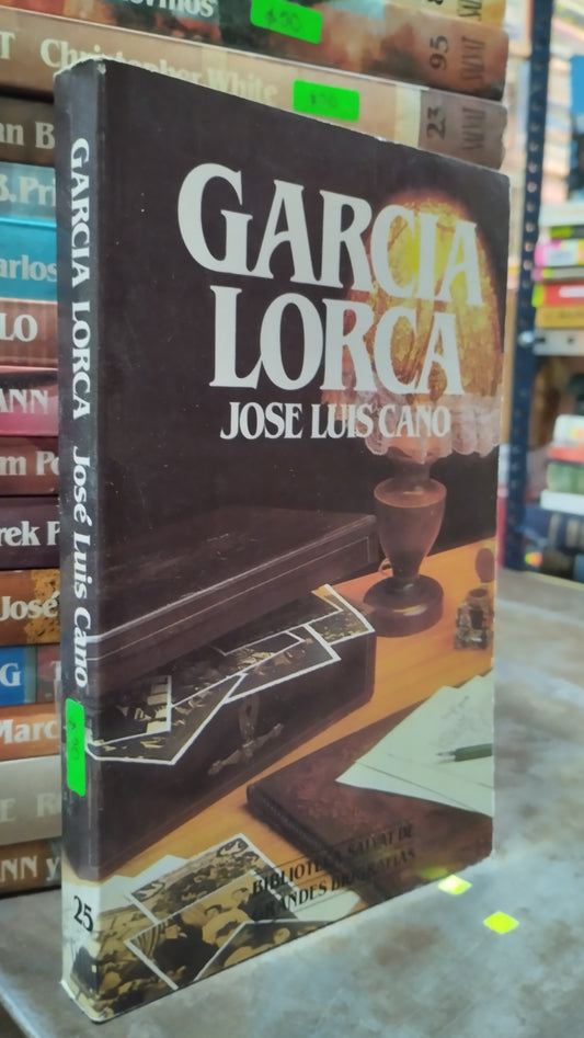 GARCIA LORCA POR JOSE LUIS CANO LIBRO USADO HISTORIA ALDAMA