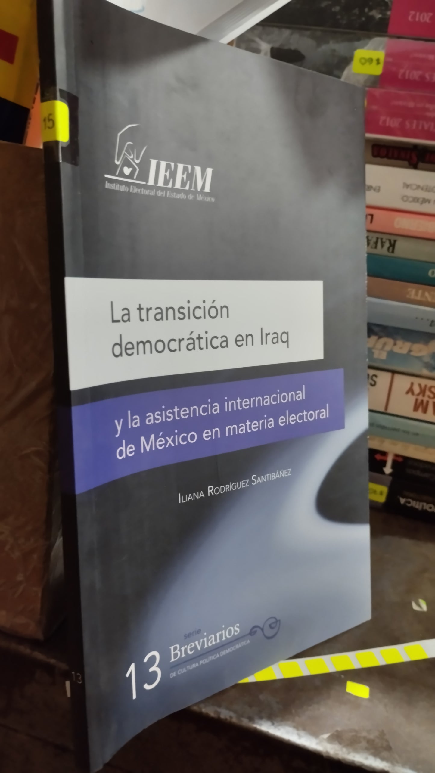 LA TRANSICION DEMOCRATICA EN IRAQ POR ILIANA RODRIGUEZ SANTIBAÑEZ LIBRO USADO POLITICA ALDAMA