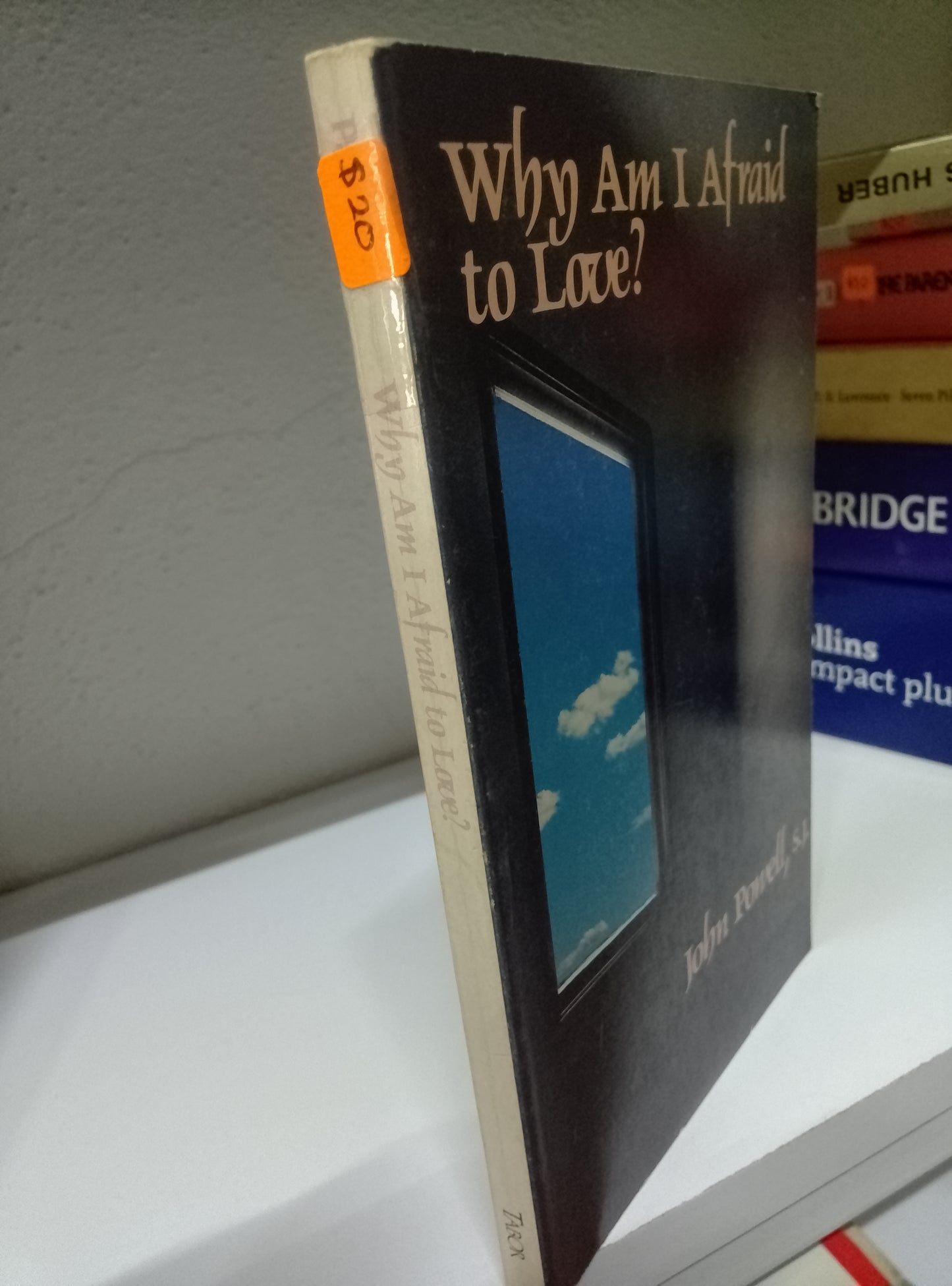 WHY AM I AFRAID TO LOVE JOHN PONELL S J USADO IDIOMAS JUAREZ 515