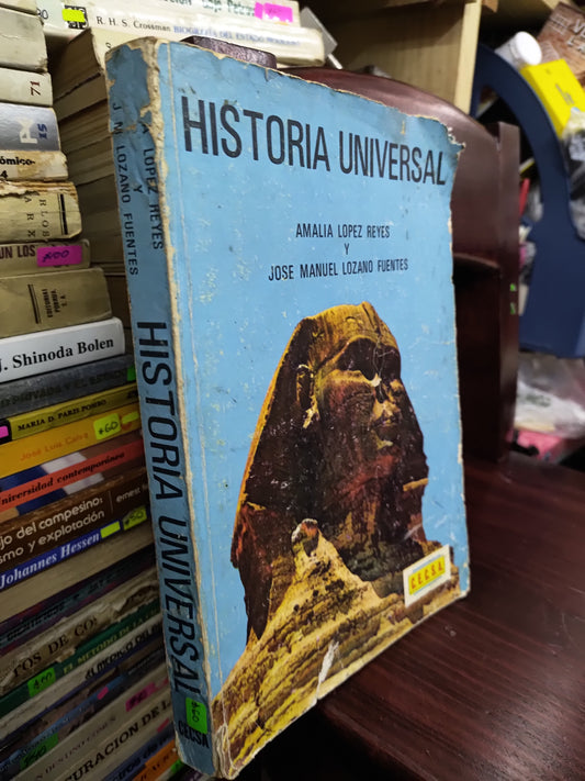HISTORIA UNIVERSAL POR AMALIA LOPEZ REYES USADO HISTORIA LITERARIO 207