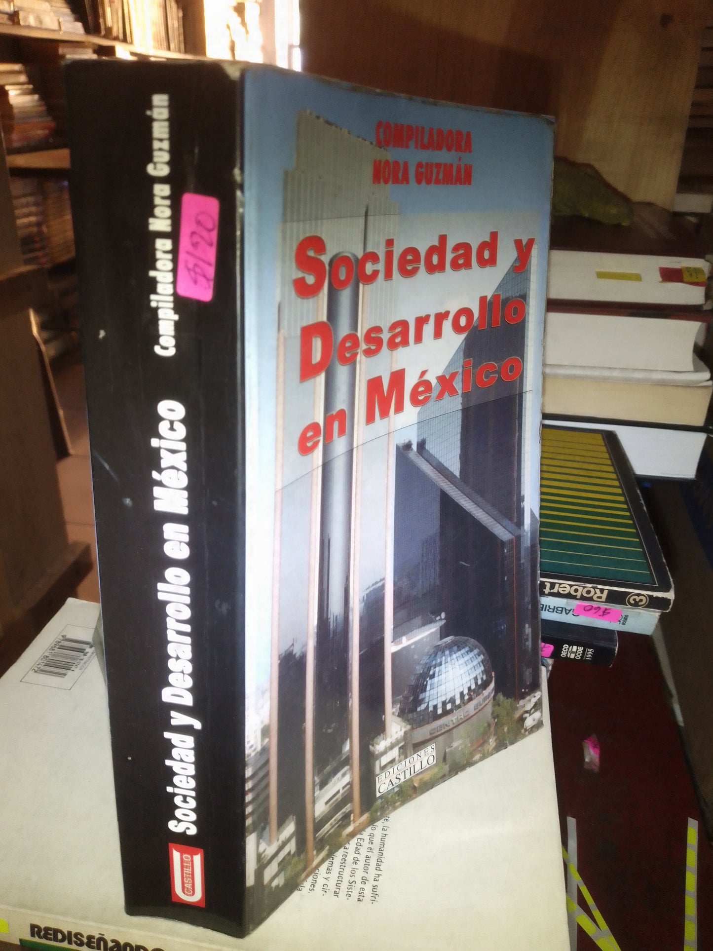 SOCIEDAD Y DESARROLLO EN MEXICO POR NORA GUZMAN USADO SOCIOLOGÍA LITERARIO 207