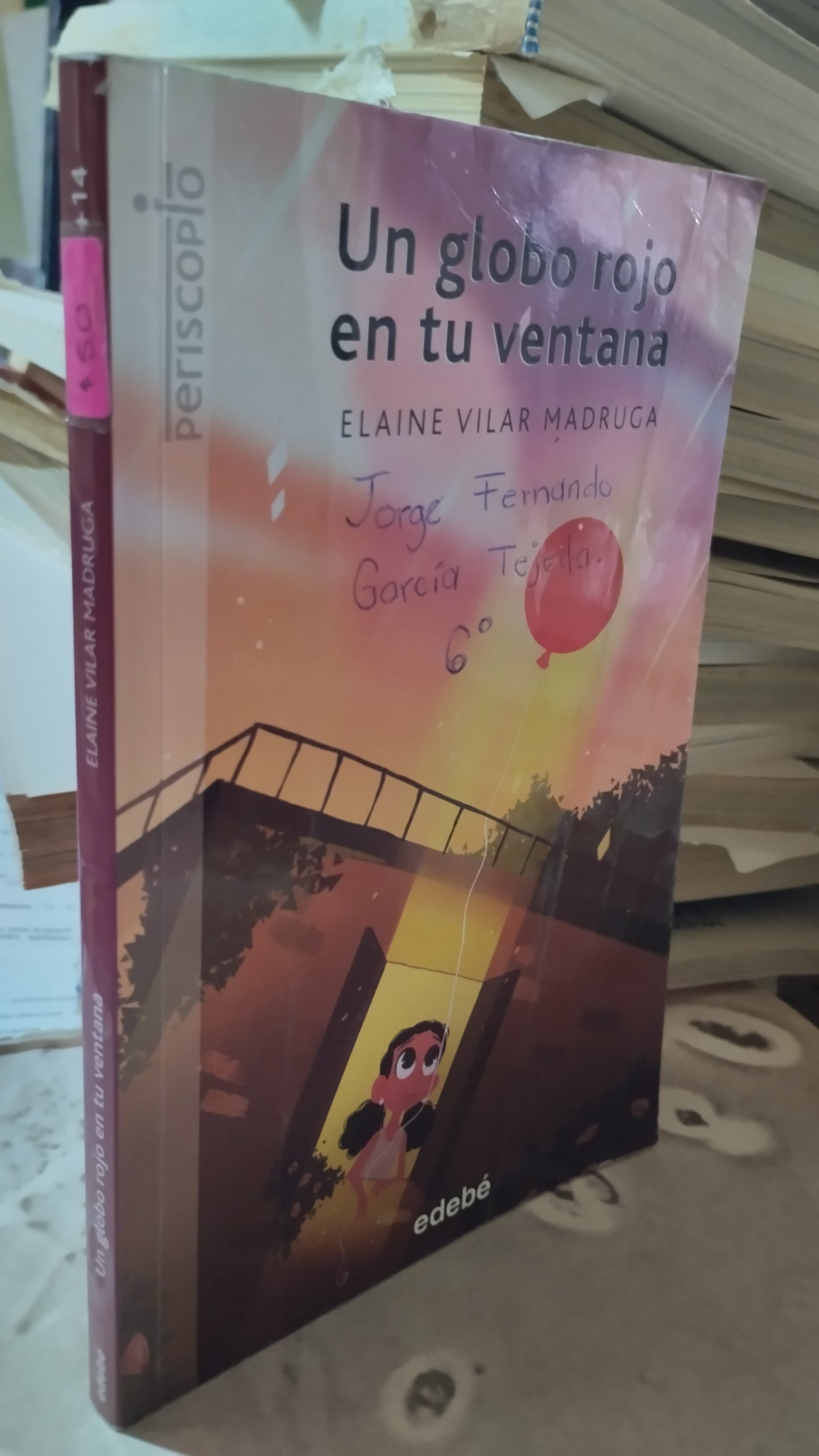 UN GLOBO ROJO EN TU VENTANA POR ELAINE VILAR MADRUGA LIBRO USADO INFANTIL ALDAMA