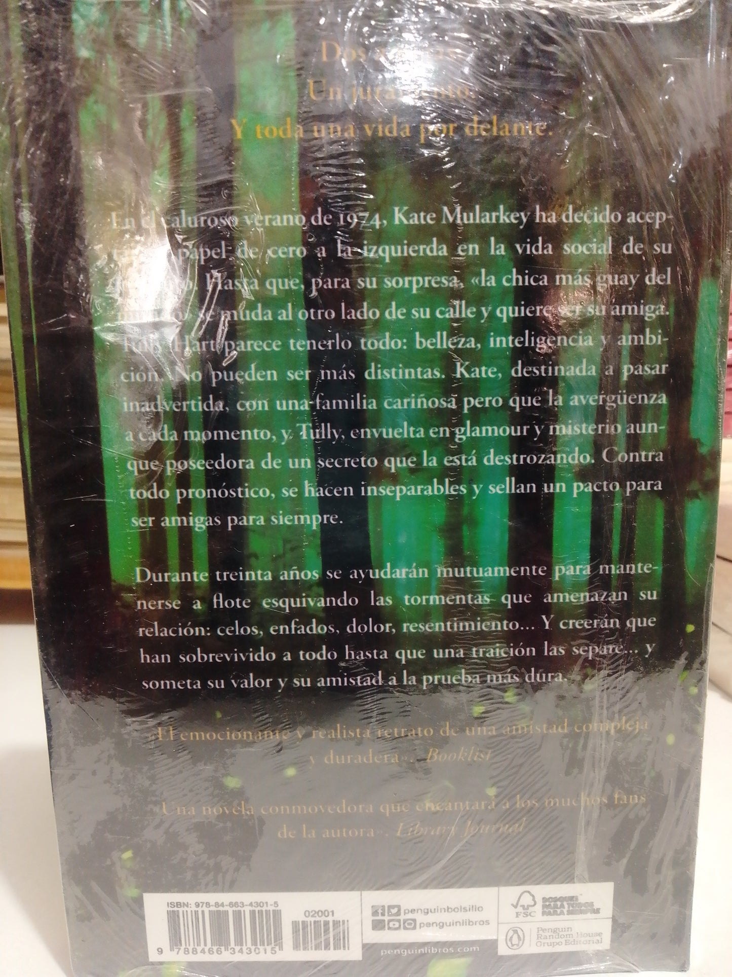 EL BAILE DE LAS LUCIERNAGAS POR KRISTIN HANNAH NUEVO JUAREZ