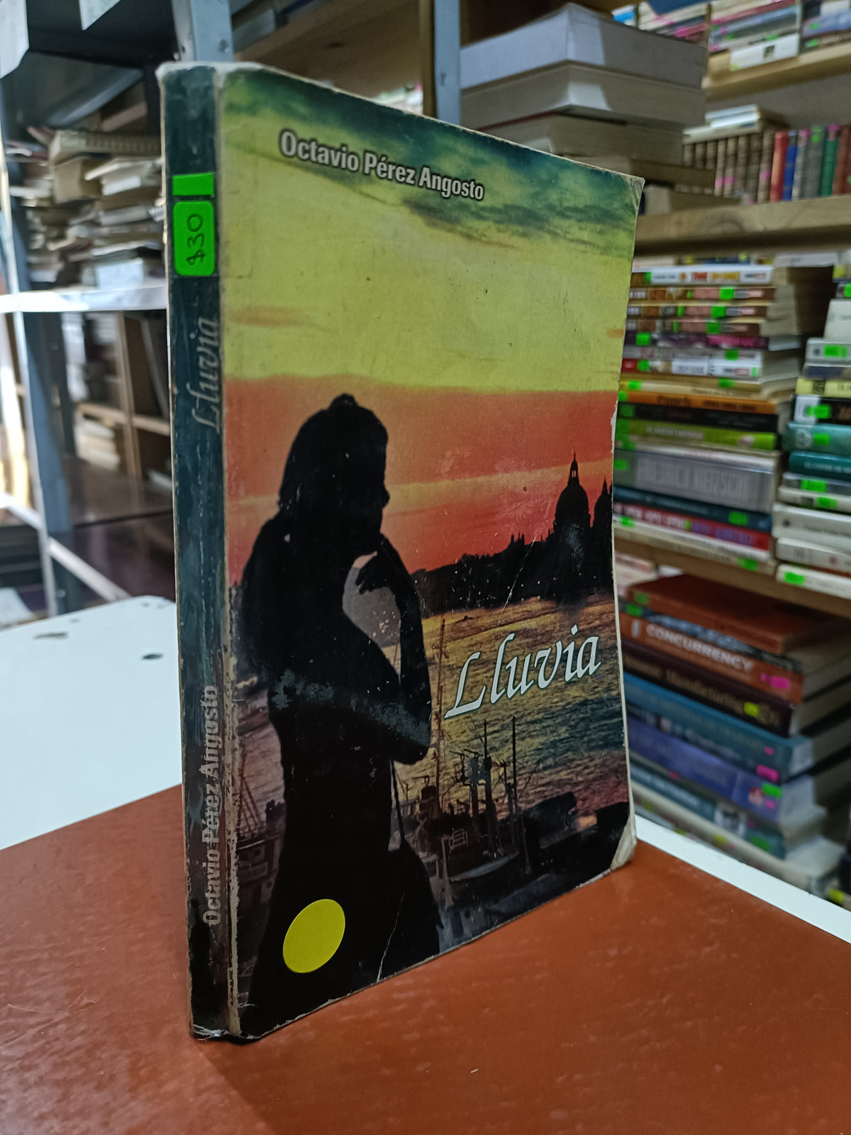 LLUVIA POR OCTAVIO PEREZ ANGOSTO USADO NOVELA LITERARIO 207